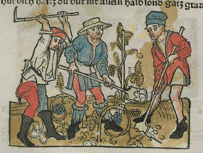 three men digging in a field